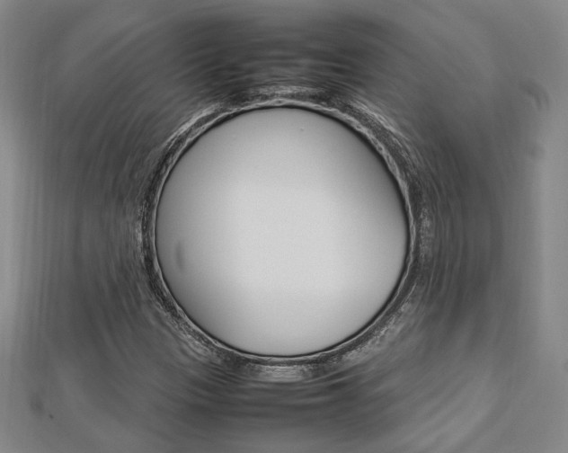 X0000112731305200908201004