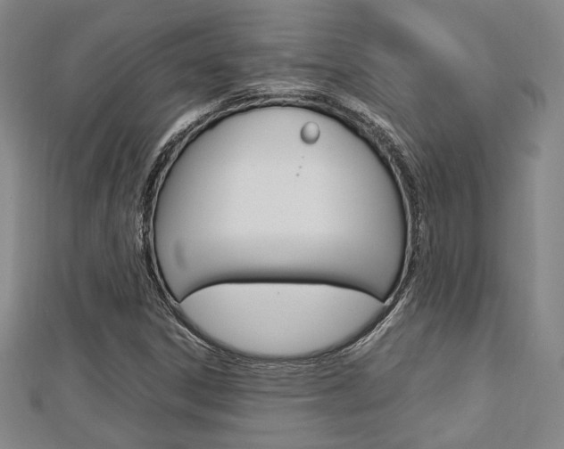 X0000112731306200908201004