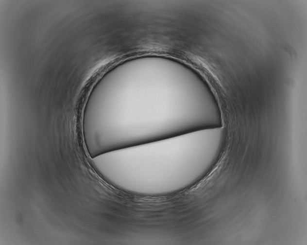 X0000112731307200908201004