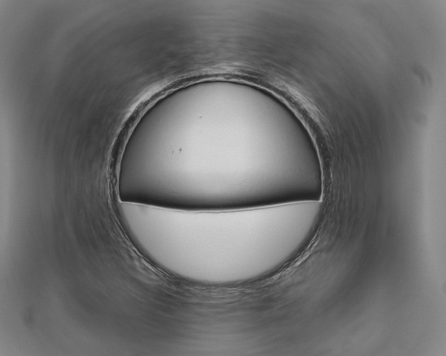 X0000112731308200908201004