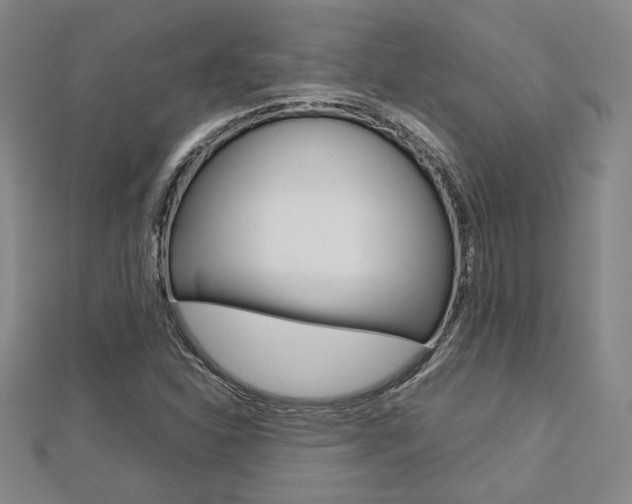 X0000112731310200908201004