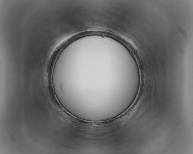 X0000112731311200908201004
