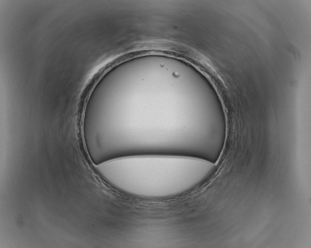 X0000112731312200908201004