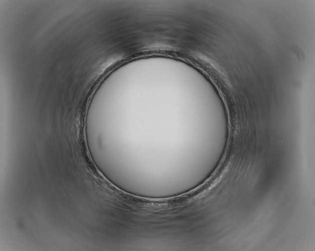 X0000112731313200908201004