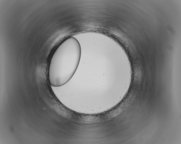 X0000112731314200908201004