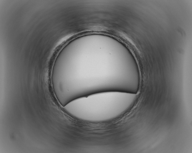 X0000112731315200908201004