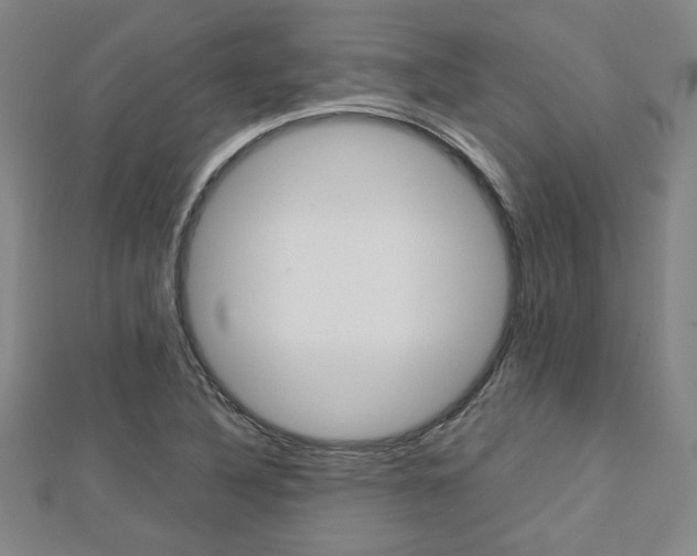 X0000112731316200908201004