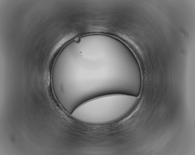 X0000112731317200908201004