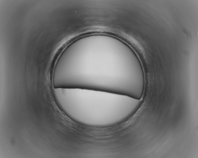 X0000112731318200908201004