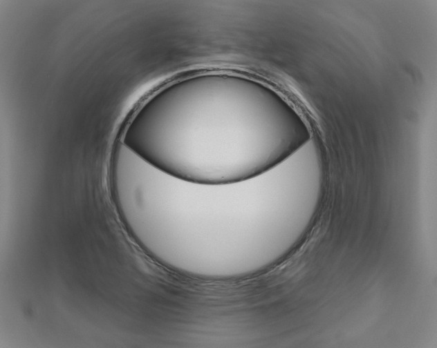 X0000112731320200908201004
