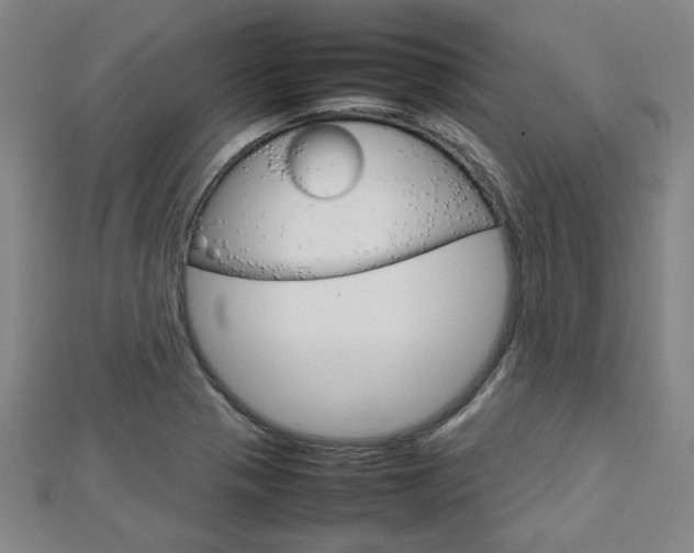 X0000112731321200908201004