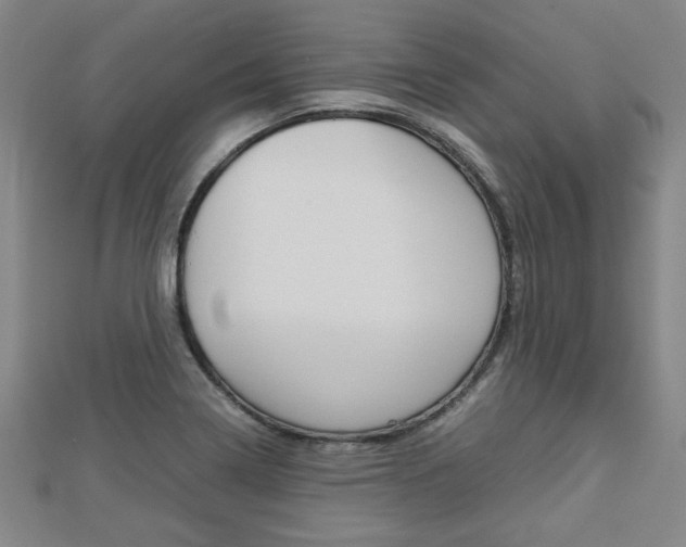 X0000112731322200908201004