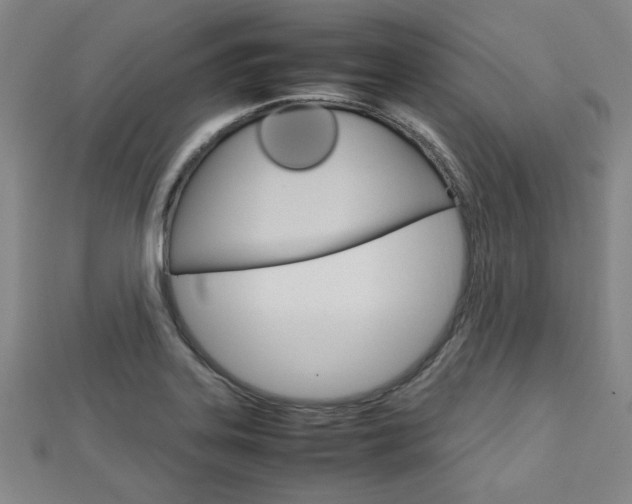 X0000112731323200908201004
