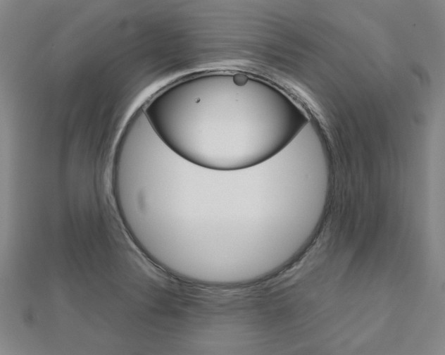 X0000112731324200908201004