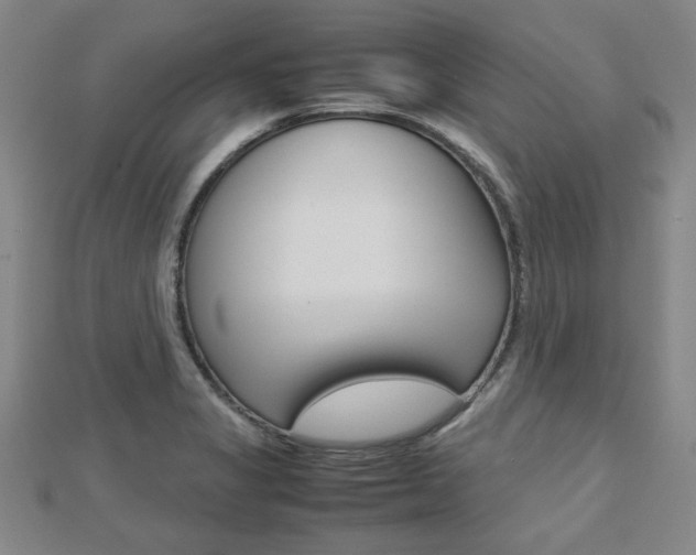 X0000112731325200908201004