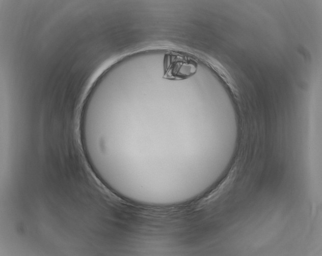 X0000112731326200908201004