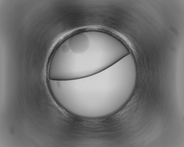 X0000112731327200908201005