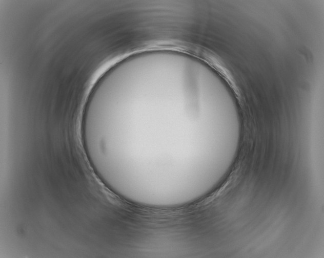 X0000112731328200908201005