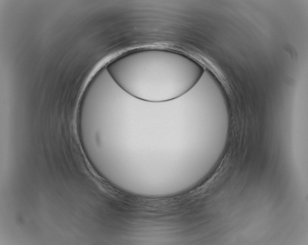 X0000112731332200908201005