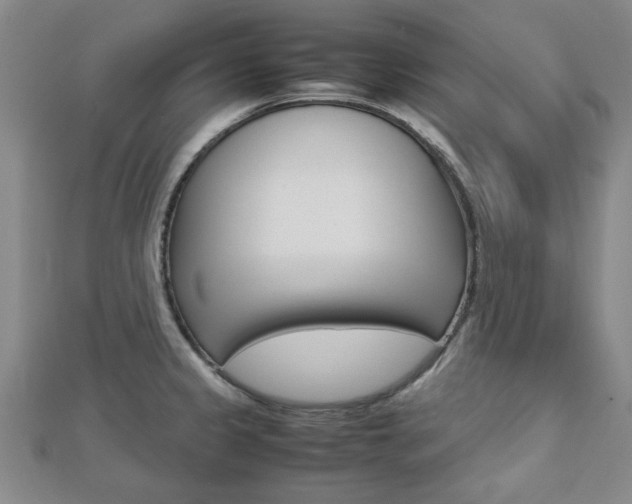 X0000112731333200908201005