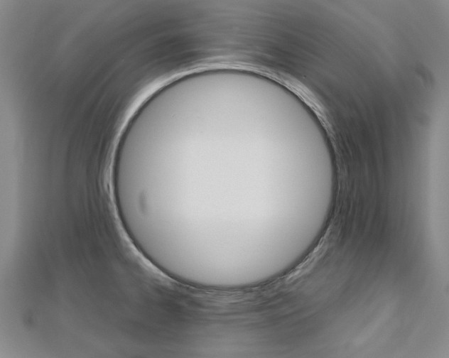 X0000112731334200908201005