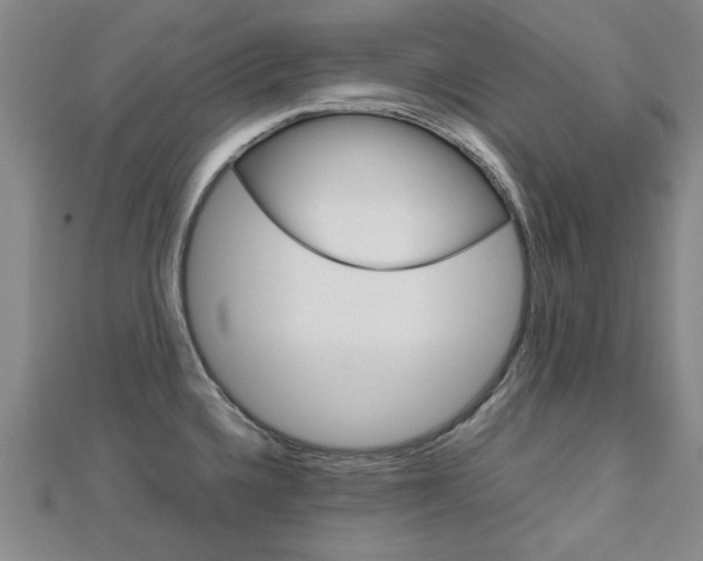 X0000112731336200908201005