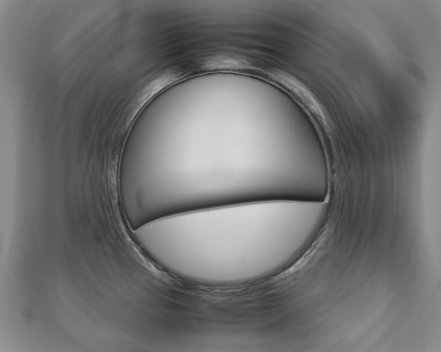 X0000112731337200908201005