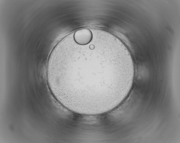 X0000112731338200908201005