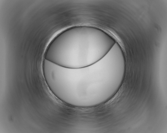 X0000112731340200908201005