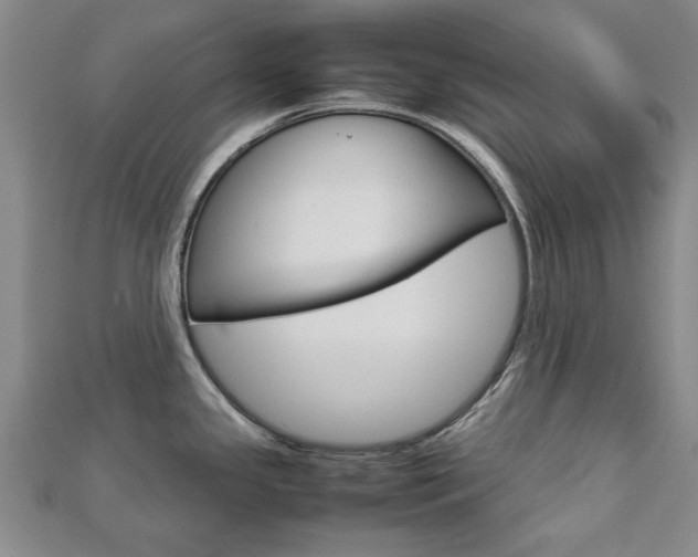 X0000112731341200908201005
