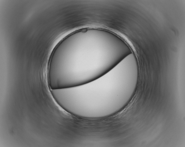 X0000112731343200908201005