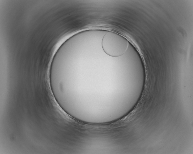 X0000112731344200908201005