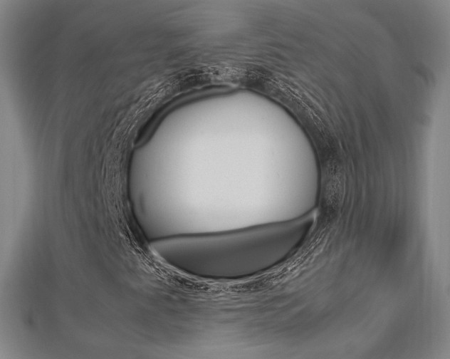 X0000112731345200908201004