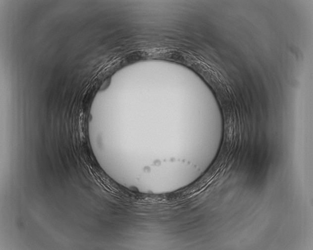 X0000112731346200908201004