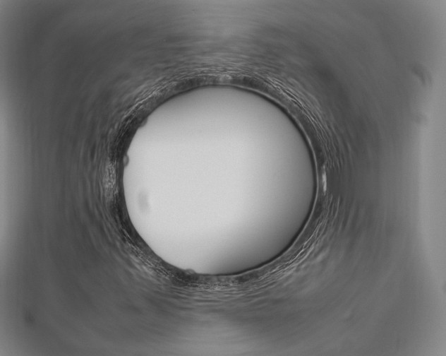 X0000112731347200908201004