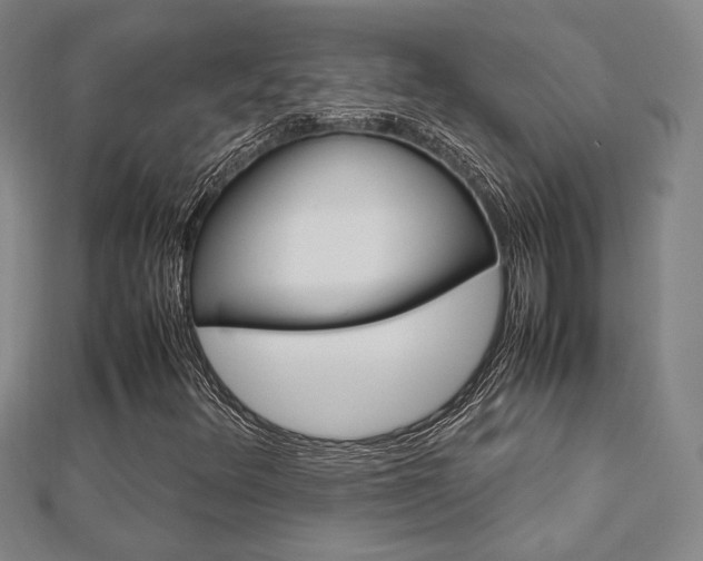 X0000112731348200908201004
