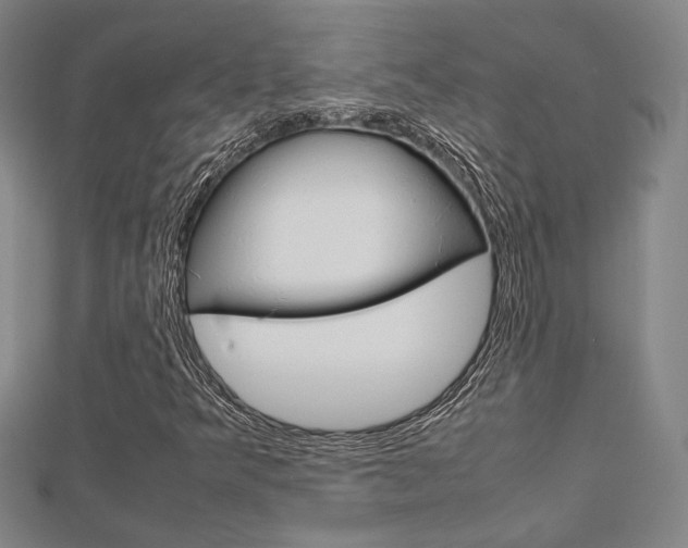 X0000112731349200908201004