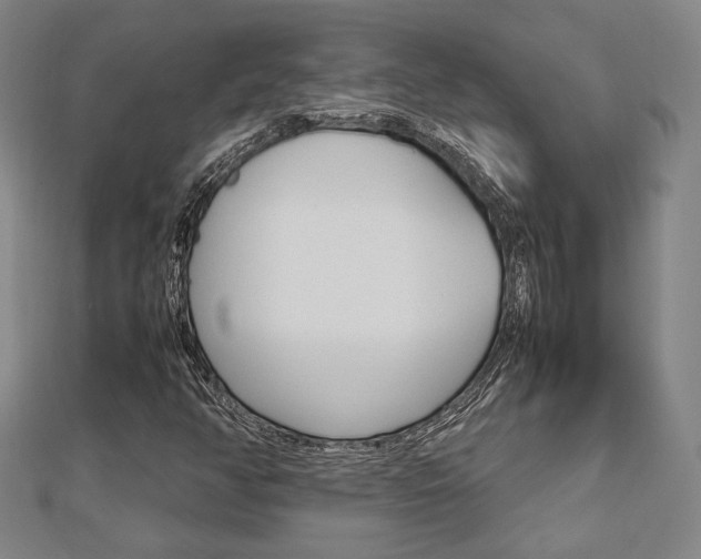 X0000112731350200908201004