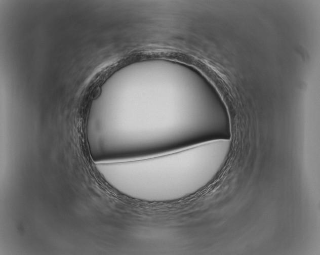 X0000112731351200908201004