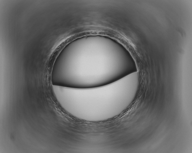 X0000112731352200908201004
