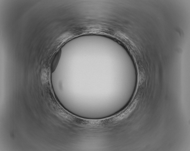 X0000112731353200908201004