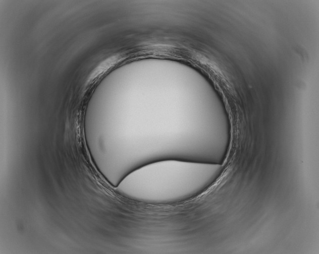 X0000112731354200908201004