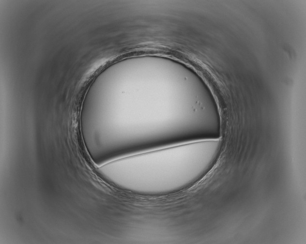 X0000112731355200908201004