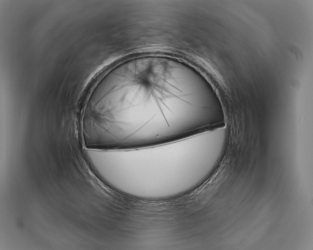X0000112731356200908201004