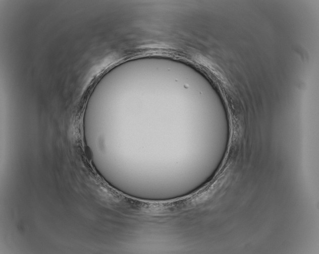 X0000112731357200908201004