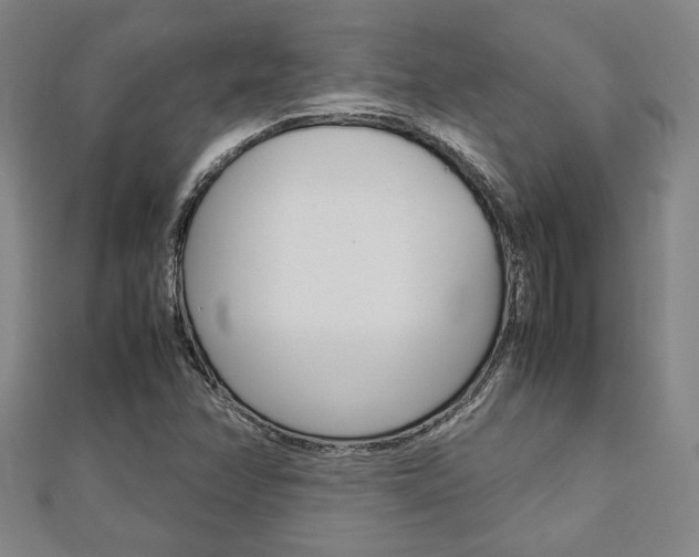 X0000112731358200908201004
