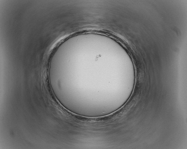 X0000112731359200908201004
