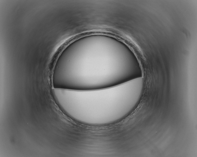 X0000112731360200908201004