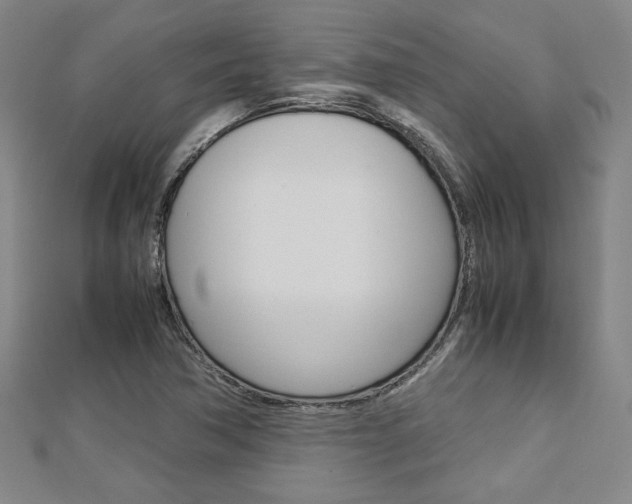 X0000112731362200908201004