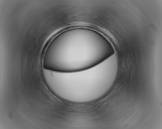 X0000112731364200908201004
